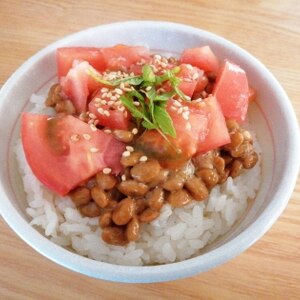 青じそ、トマトの納豆ご飯